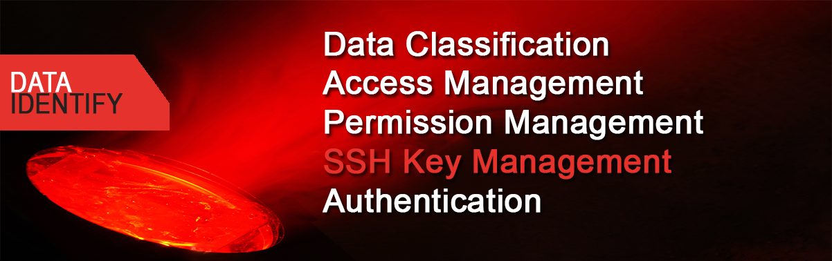 Data Identify Banner