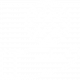 MS ICon MS ICon