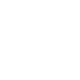 ds icon